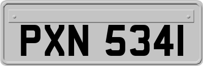 PXN5341