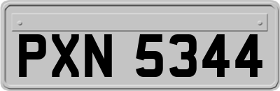 PXN5344