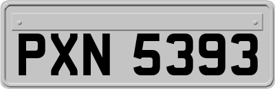 PXN5393