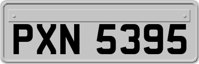 PXN5395