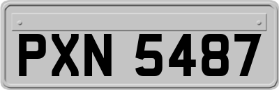 PXN5487