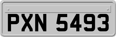 PXN5493