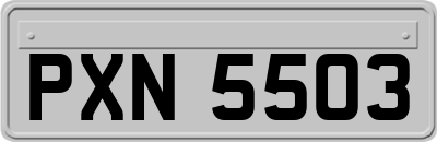 PXN5503