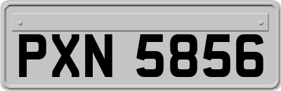 PXN5856