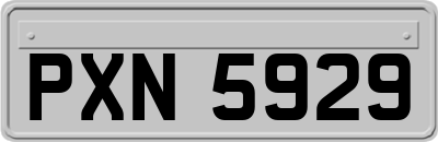 PXN5929