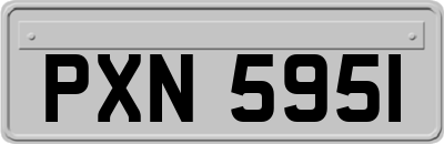 PXN5951