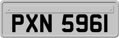 PXN5961