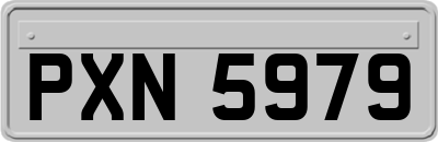 PXN5979