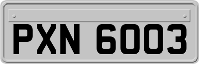 PXN6003