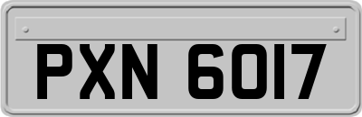 PXN6017