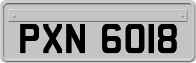 PXN6018