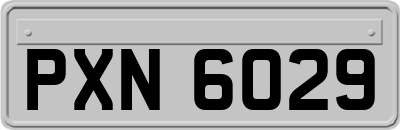 PXN6029