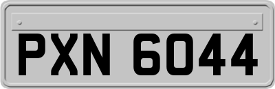 PXN6044