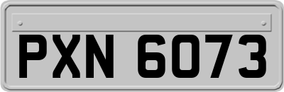 PXN6073