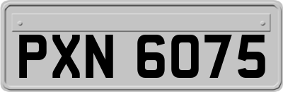 PXN6075