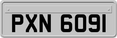 PXN6091