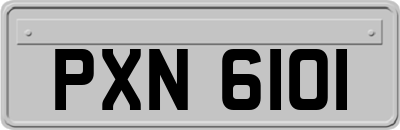 PXN6101