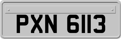 PXN6113