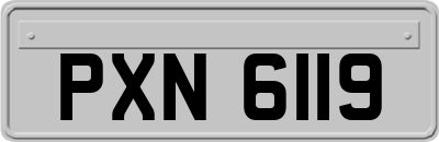 PXN6119