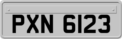 PXN6123