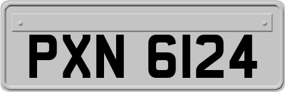 PXN6124