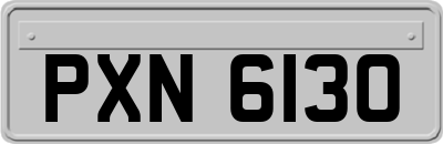 PXN6130