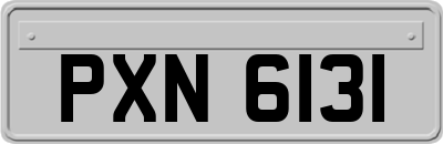 PXN6131