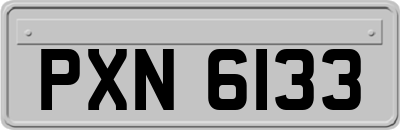 PXN6133