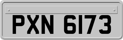 PXN6173