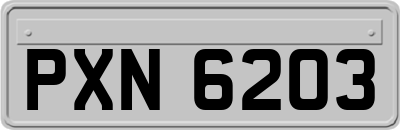 PXN6203