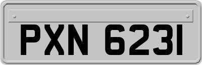 PXN6231