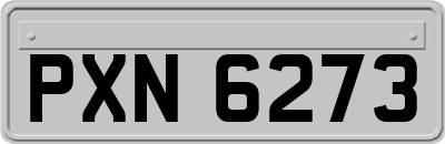 PXN6273