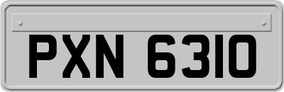 PXN6310