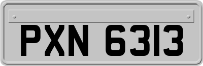 PXN6313