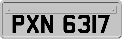 PXN6317