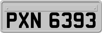 PXN6393