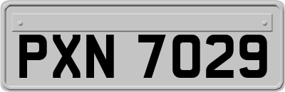 PXN7029