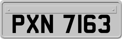 PXN7163