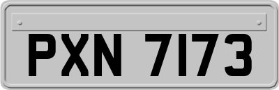 PXN7173