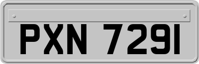 PXN7291