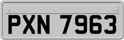 PXN7963