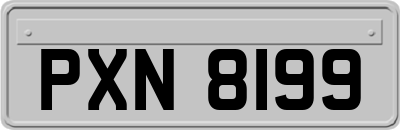 PXN8199