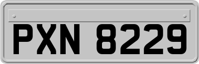 PXN8229