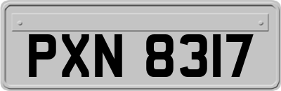 PXN8317