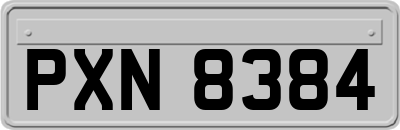 PXN8384