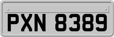 PXN8389