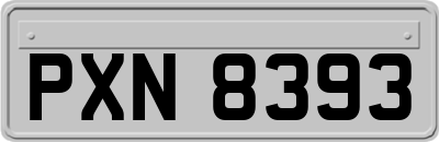 PXN8393