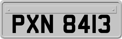 PXN8413