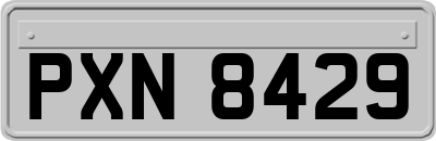 PXN8429