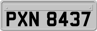 PXN8437